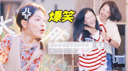 金色心声娱乐圈吃瓜爽文,金色心声下的瓜田盛宴  第3张