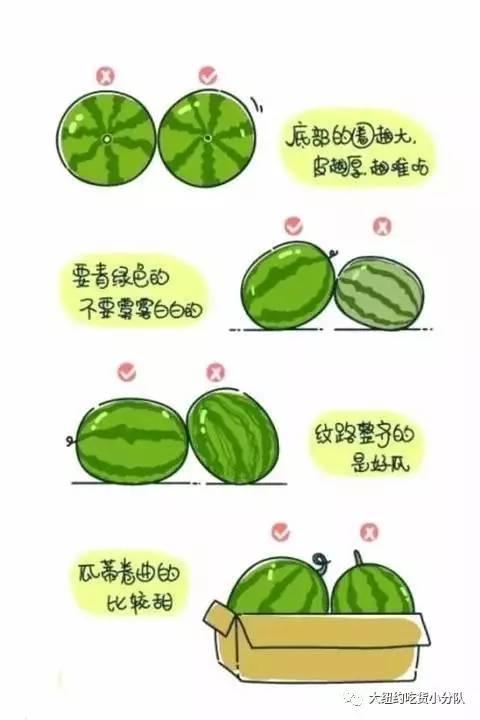 娱乐圈吃瓜的正确方法,轻松解锁明星八卦的正确姿势  第3张