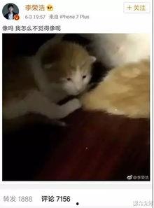 娱乐吃瓜酱小动物视频