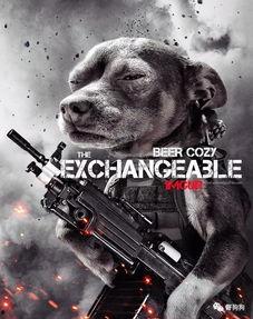 娱乐吃瓜汪星人是谁,网络红星的崛起之路  第2张