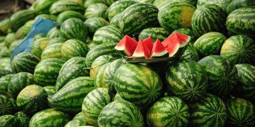 娱乐吃瓜作品有哪些名字,揭秘那些令人捧腹的吃瓜大事件  第2张