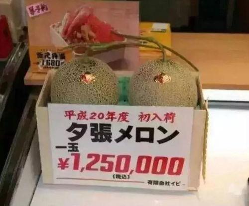 茫茫娱乐吃瓜,揭秘“茫茫娱乐吃瓜”背后的热点事件  第2张