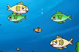 小鱼吃瓜娱乐,揭秘娱乐圈幕后故事，带你领略明星们的真实生活  第2张