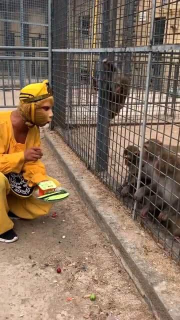 娱乐吃瓜酱猴,揭秘娱乐圈那些不为人知的幕后故事  第2张