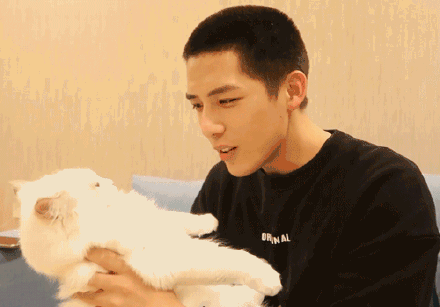 娱乐圈吃瓜王安宇,娱乐圈吃瓜王，揭秘明星幕后故事  第3张