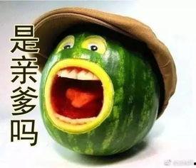 吃瓜集锦,盘点娱乐圈那些让人捧腹大笑的瞬间