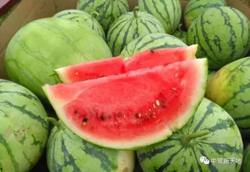 甜的娱乐吃瓜,揭秘娱乐圈甜蜜瓜皮背后的故事  第2张