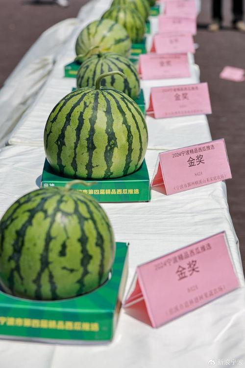 甜的娱乐吃瓜,揭秘娱乐圈甜蜜瓜皮背后的故事  第3张