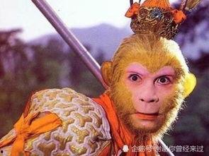 孙悟空吃瓜子,猴王孙悟空的瓜子奇缘  第2张