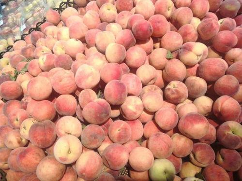 小豪娱乐吃瓜  第2张