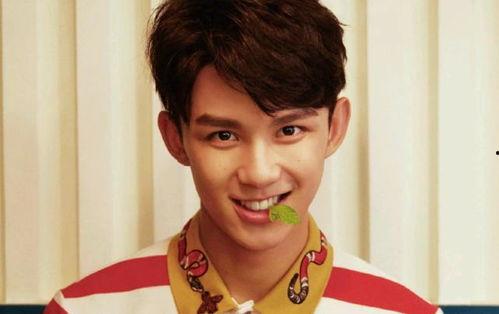 三石弟弟吃瓜娱乐圈文,娱乐圈幕后风云大揭秘  第3张