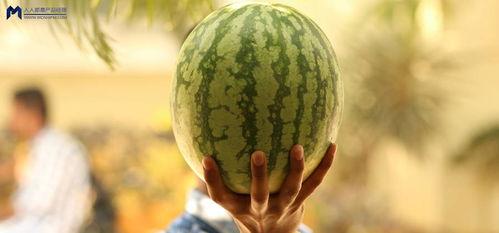 吃瓜娱乐圈什么情况,揭秘吃瓜群众关注的最新热点事件  第3张