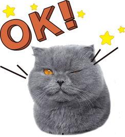 娱乐吃瓜酱猫尾巴  第3张