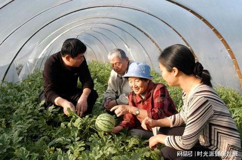 西藏扎西枫丹娱乐吃瓜,吃瓜群众眼中的神秘娱乐王国  第3张